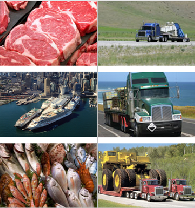 Home Times Trans Cargo Home Times Trans Cargo